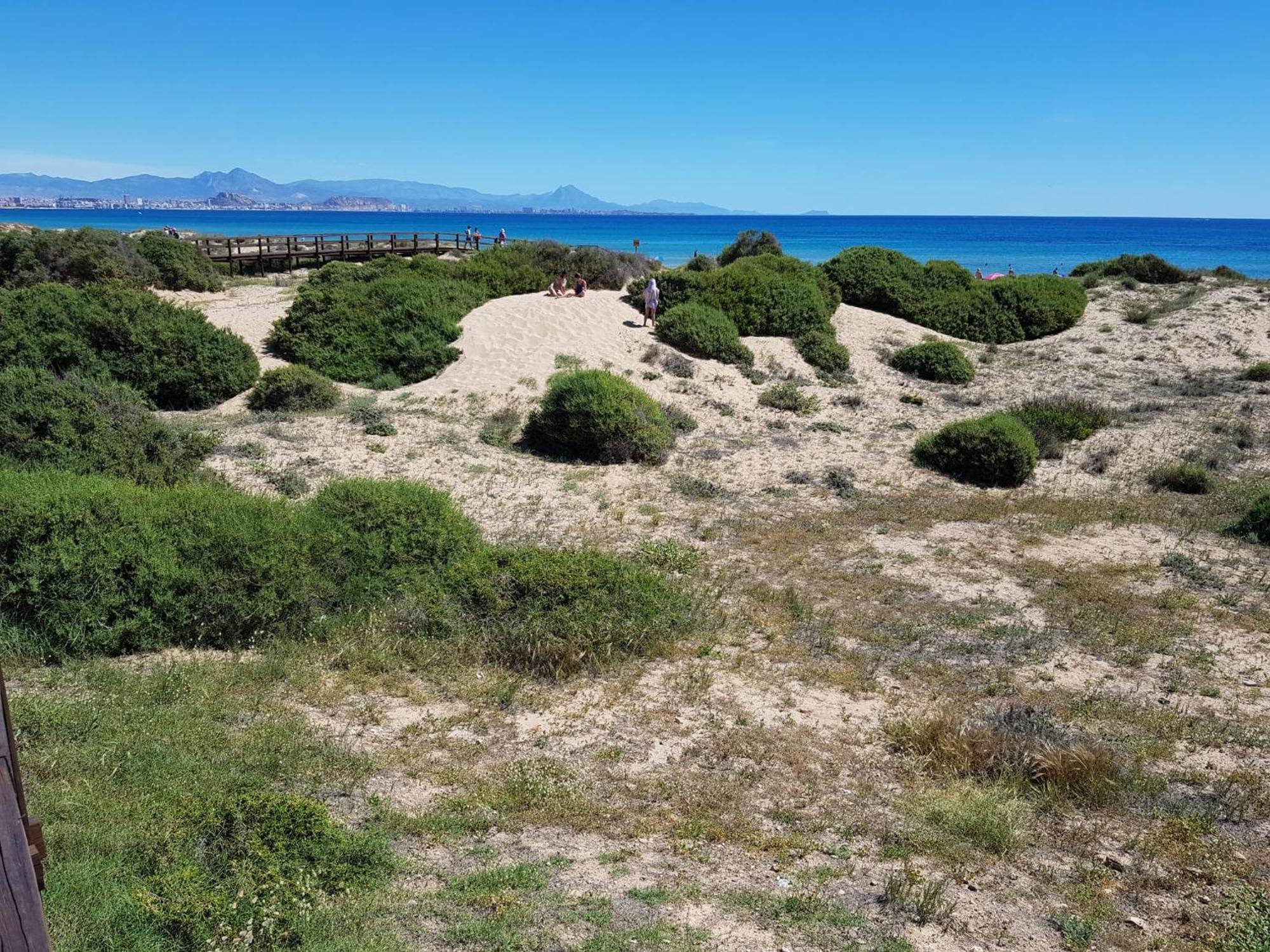 Arenales Sol Y Playa Galatea Iii *